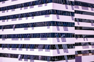 开云体育app官网-体育新闻中心建设体育数字内容版权保护体系，体育数据新闻